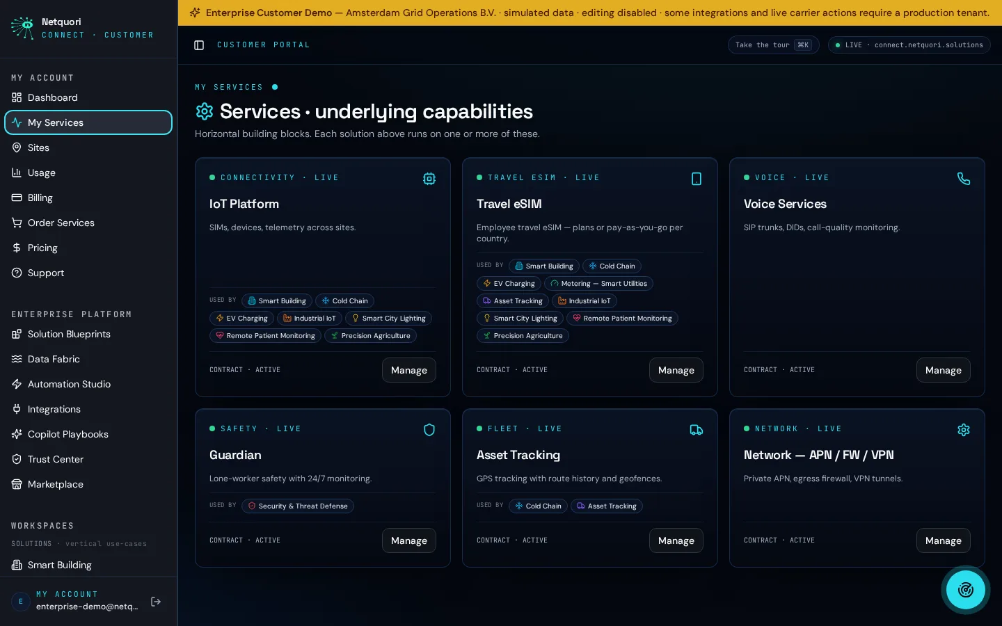 Netquori Connect services view listing connectivity services under one account